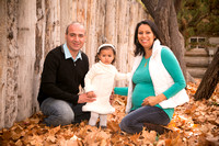 Oralia & Ali family photos